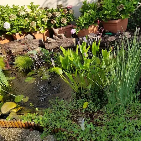 Maison Entoure Par Un Jardin Proche Paris Et Holiday home